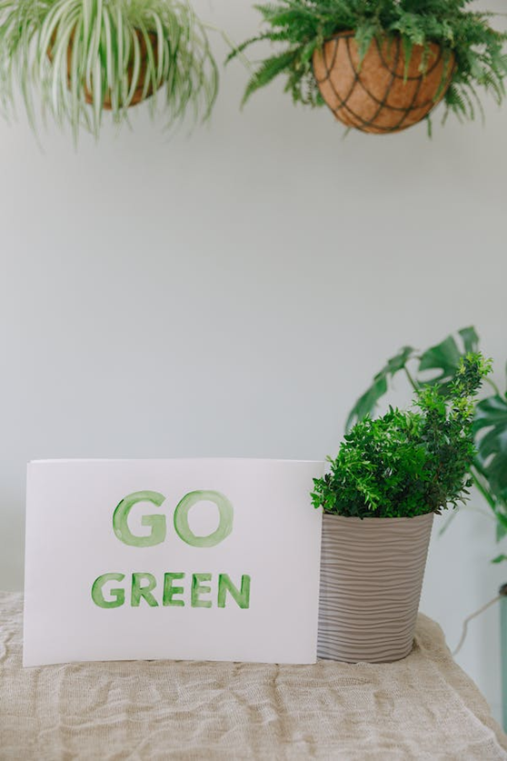 Go green sign next to a potted plant